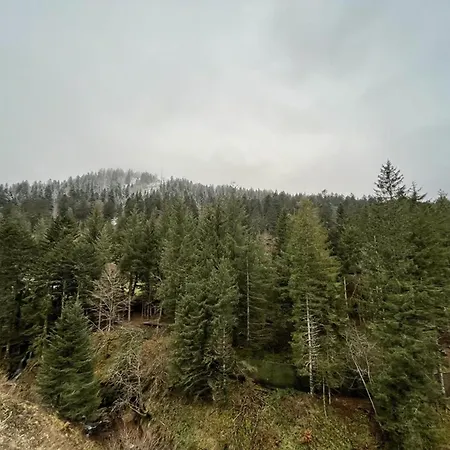 Duplex Au Lioran Avec Balcon, Proche Pistes Et Commerces - Fr-1-787-25